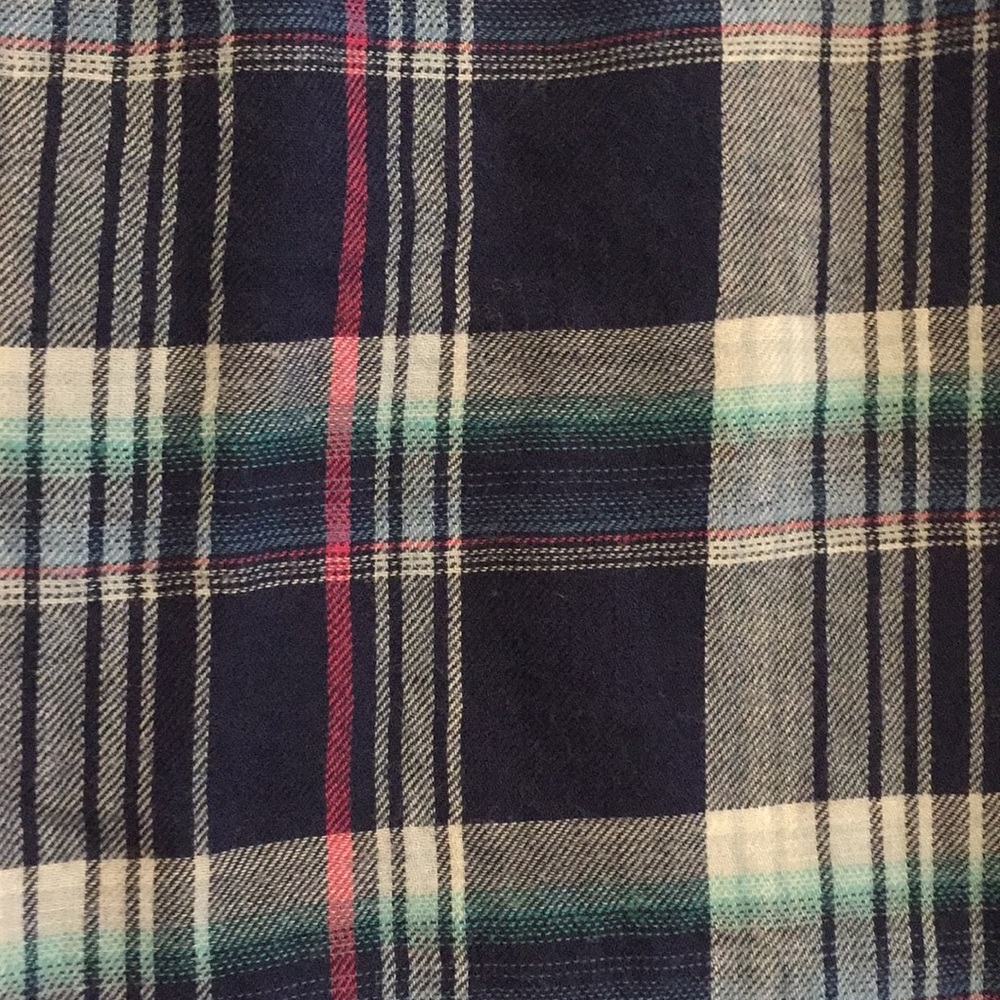 Blue Flannel - Picture 3 of 3